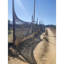 Terreno agricolo agrumeto
