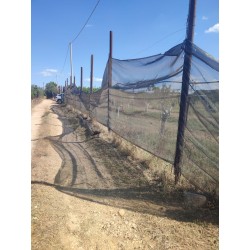 Terreno agricolo agrumeto