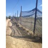 Terreno agricolo agrumeto