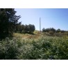Terreno 5.000 mq. più fabbricato