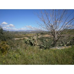 Terreno 5.000 mq. più fabbricato