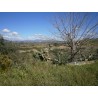 Terreno 5.000 mq. più fabbricato