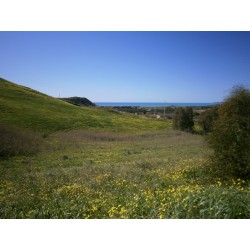 Terreno 5.000 mq. più fabbricato